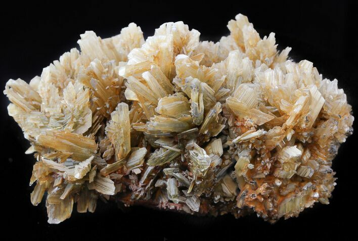 Red-Orange Bladed Selenite Crystals on Matrix - Mexico #45193